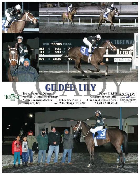 Gilded Lily - 020917 Race 05 Tp Turfway Park