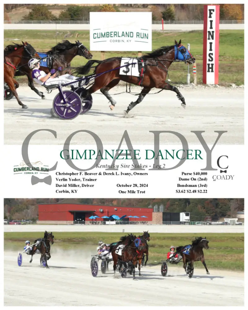 Gimpanzee Dancer - Kentucky Sire Stakes Leg 2 10-28-24 R11 Clr Cumberland Run