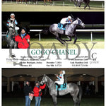 Gogo Chanel - 12-07-24 R07 Tp Turfway Park