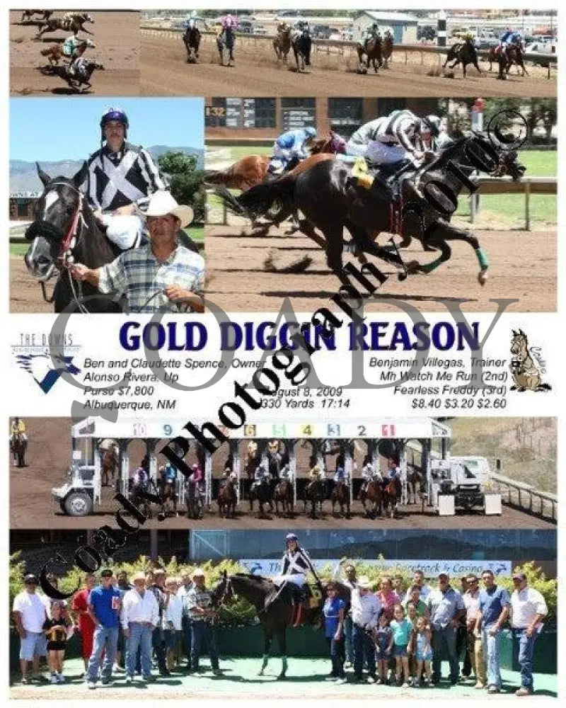 Gold Diggin Reason - 8 2009 Downs At Albuquerque