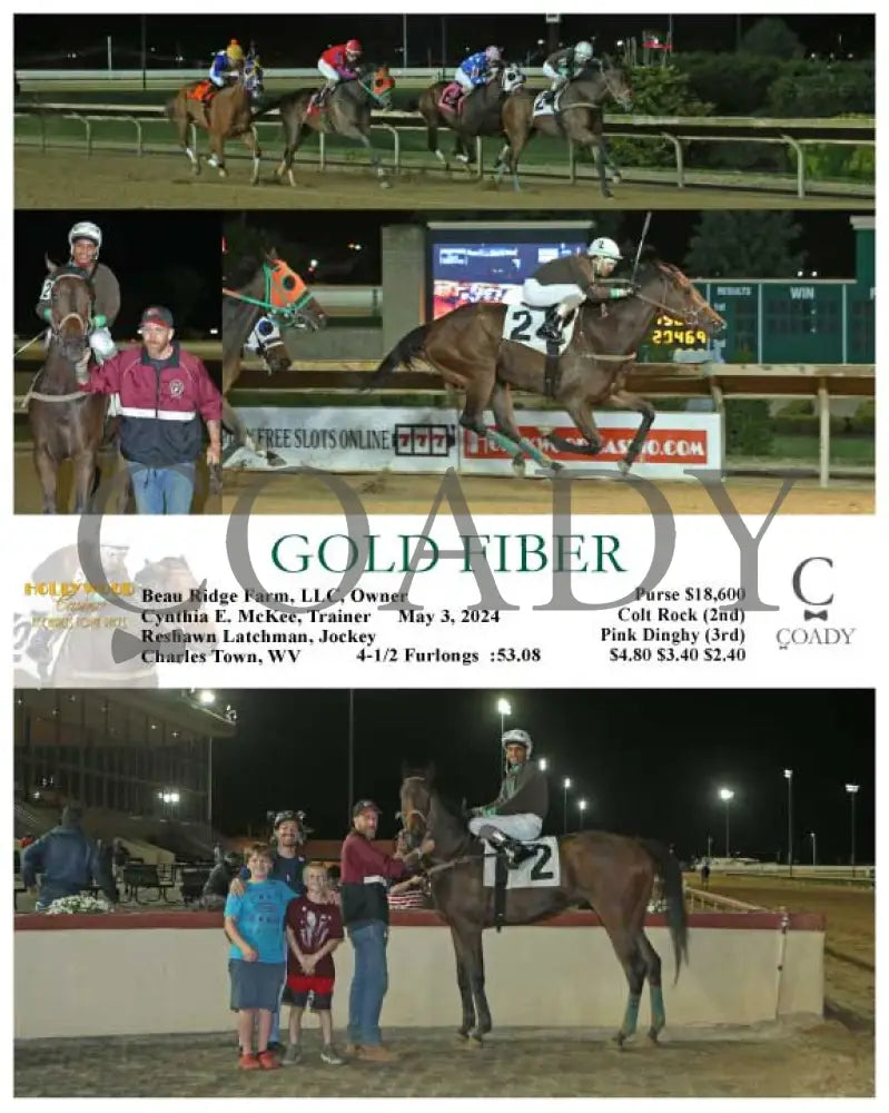 Gold Fiber - 05-03-24 R06 Ct Hollywood Casino At Charles Town Races