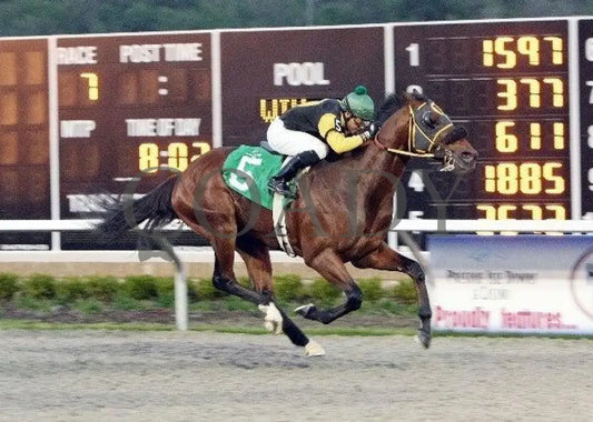 Great Love - The Tom Ridge Stakes Presque Isle Downs