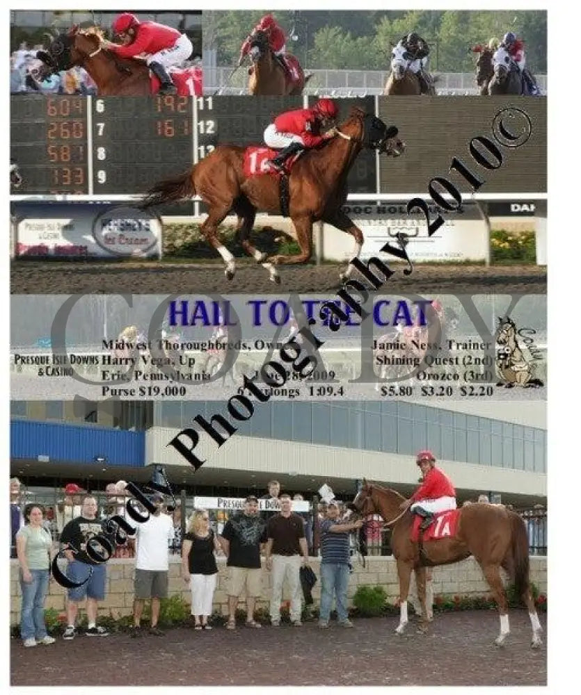 Hail To The Cat - 6 28 2009 Presque Isle Downs