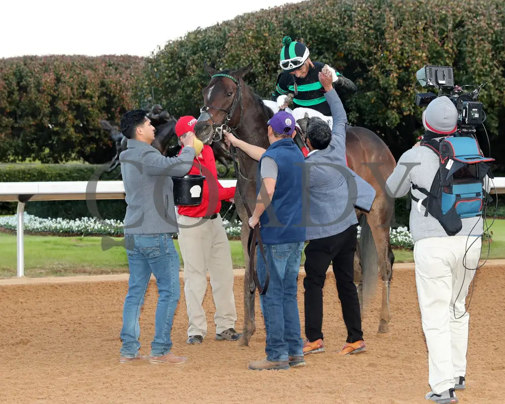 Happy Is A Choice - Ring The Bell Stakes 12-07-24 R09 Op Come Back 01 Oaklawn Park