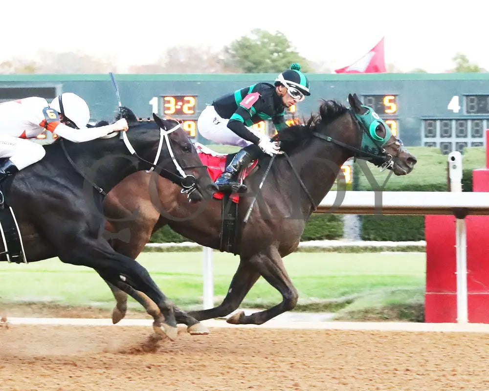 Happy Is A Choice - Ring The Bell Stakes 12-07-24 R09 Op Finish 01 Oaklawn Park