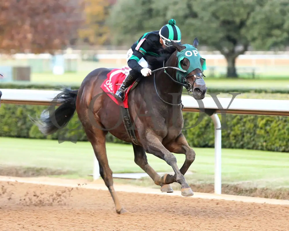 Happy Is A Choice - Ring The Bell Stakes 12-07-24 R09 Op Finish 03 Oaklawn Park