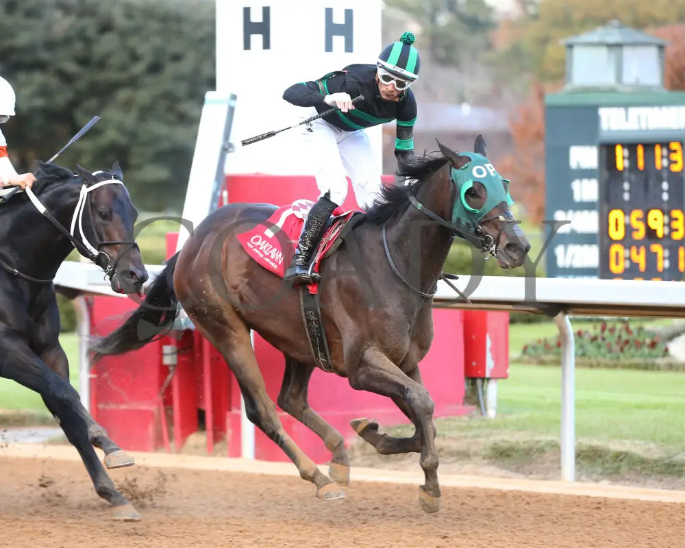 Happy Is A Choice - Ring The Bell Stakes 12-07-24 R09 Op Finish 2 Oaklawn Park