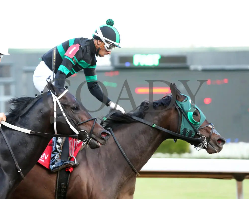 Happy Is A Choice - Ring The Bell Stakes 12-07-24 R09 Op Gallop Out 01 Oaklawn Park