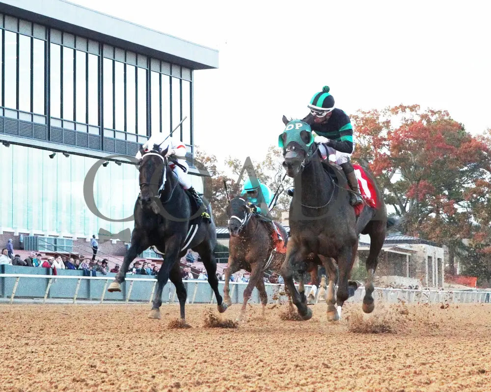 Happy Is A Choice - Ring The Bell Stakes 12-07-24 R09 Op Under Rail 01 Oaklawn Park