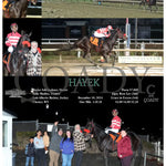 Hayek - 12-10-24 R05 Mnr Mountaineer Park