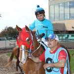 Hes My Sweetheart - Turf Paradise Maiden Stakes 02-21-24 R02 Post Parade