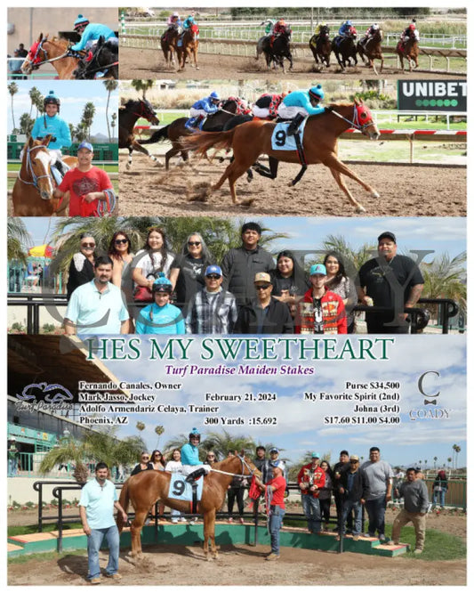 Hes My Sweetheart - Turf Paradise Maiden Stakes 02-21-24 R02 Tup