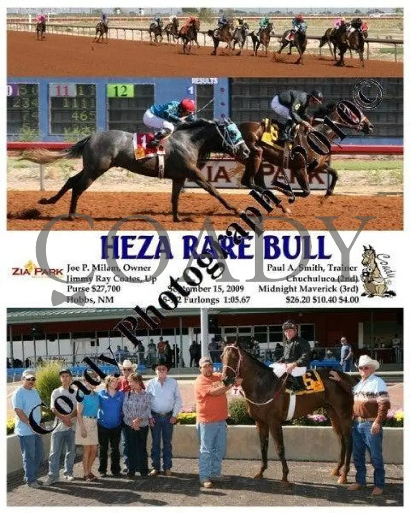 Heza Rare Bull - 9 15 2009 Zia Park