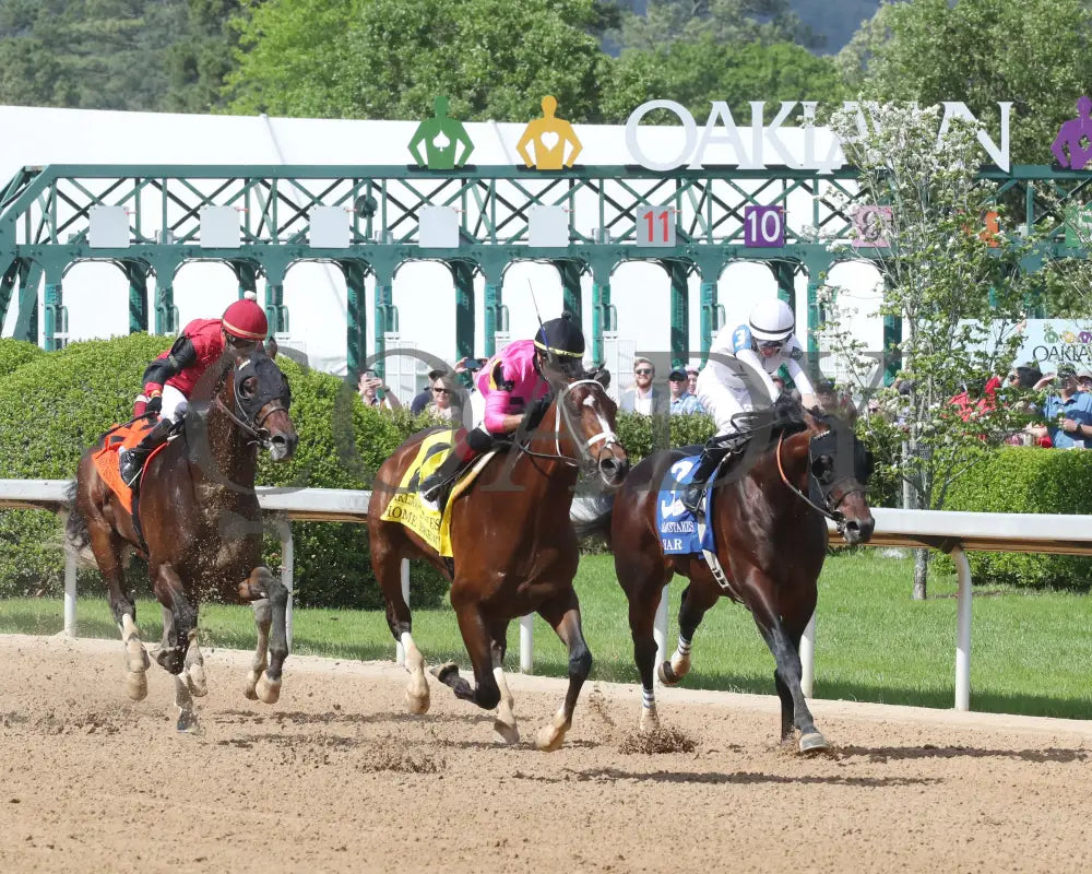 Home Brew - The Oaklawn Stakes 4Th Running 04-23-22 R08 Op Finish 03 Park