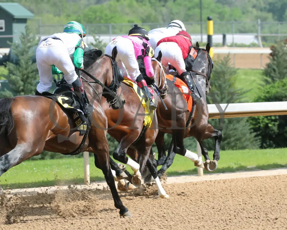 Home Brew - The Oaklawn Stakes 4Th Running 04-23-22 R08 Op First Turn 01 Park