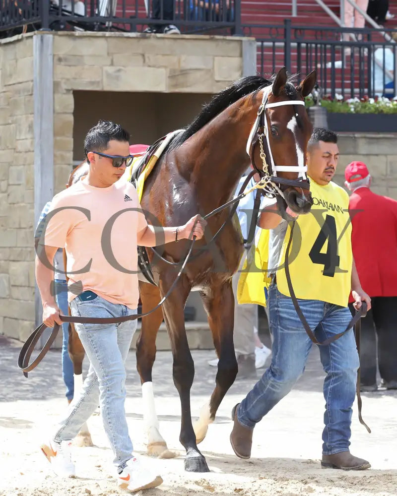 Home Brew - The Oaklawn Stakes 4Th Running 04-23-22 R08 Op Paddock 01 Park