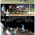 Hurricane Alert - 06-18-24 R07 Mnr Mountaineer Park