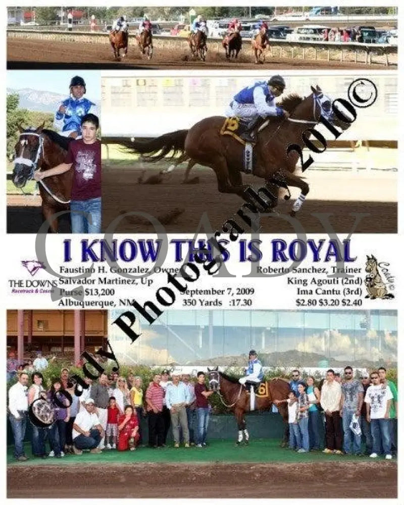 I Know This Is Royal - 9 7 2009 Downs At Albuquerque