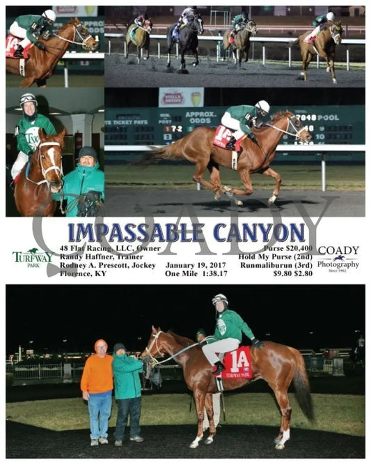 Impassable Canyon - 011917 Race 07 Tp Turfway Park
