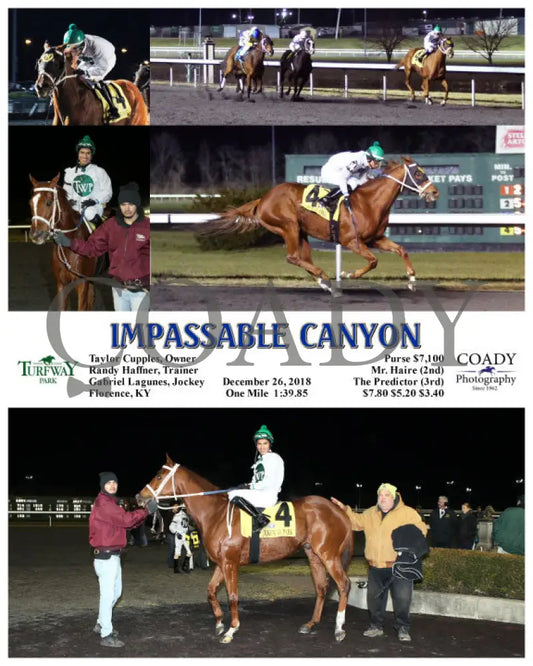 Impassable Canyon - 122618 Race 03 Tp Turfway Park