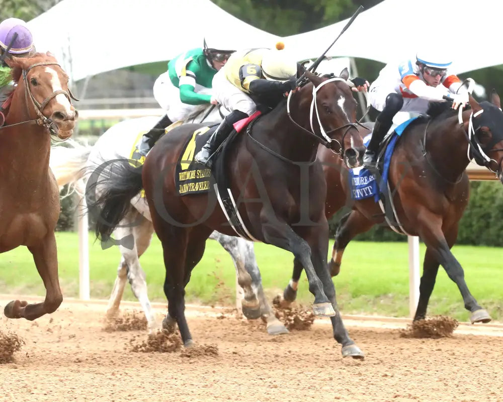 Jaxon Traveler - The Whitmore Stakes G3 78Th Running 03 - 16 - 24 R09 Op Finish 02 Oaklawn Park