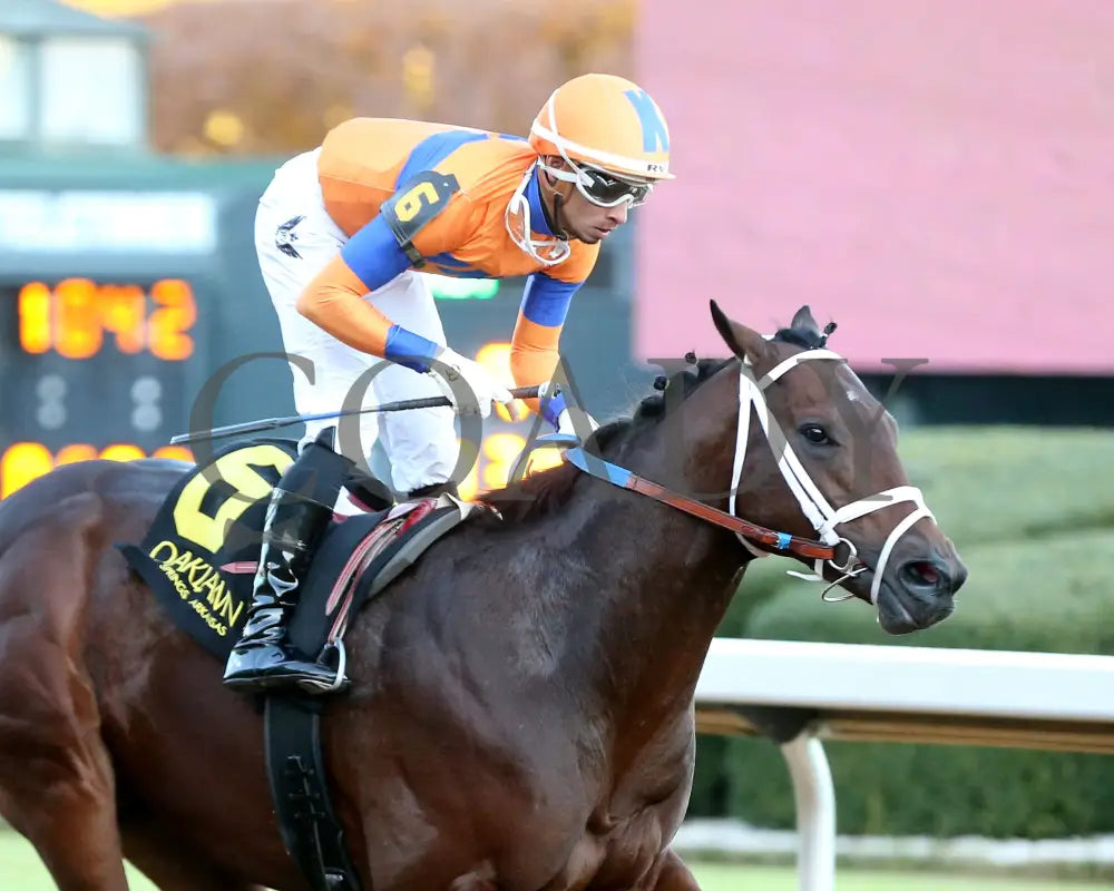 Kale’s Angel - The Advent Stakes 12-06-24 R09 Op Tight Finish 01 Oaklawn Park