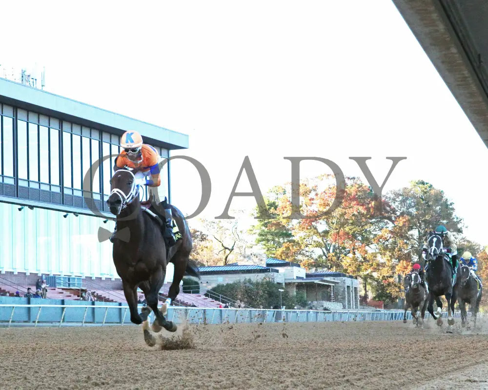 Kale’s Angel - The Advent Stakes 12-06-24 R09 Op Under Rail 01 Oaklawn Park