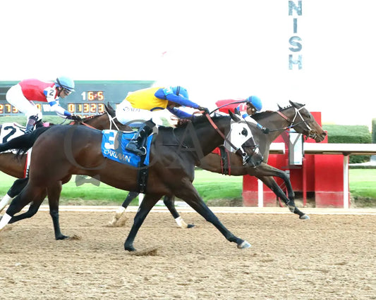 Kantex - Downthedustyroad Breeders’ Stakes 16Th Running 03-02-24 R09 Op Finish 01 Oaklawn Park