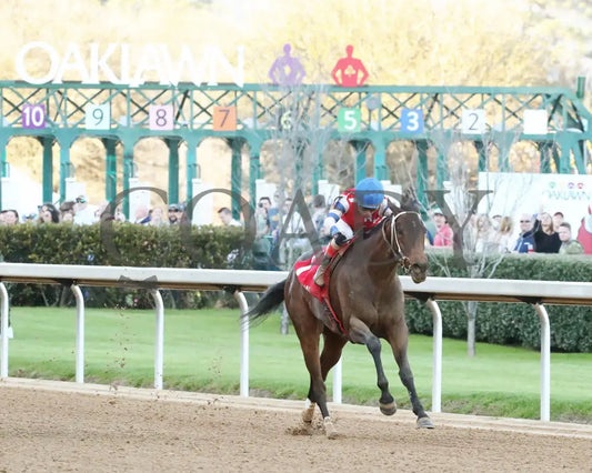 Kantex - Downthedustyroad Breeders’ Stakes 16Th Running 03-02-24 R09 Op Finish 02 Oaklawn Park