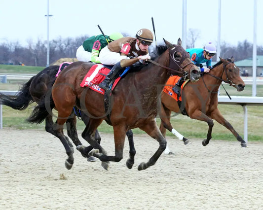 Kate’s Kingdom - The My Charmer Stakes 34Th Running Of 12-11-22 R07 Turfway Park Finish 02