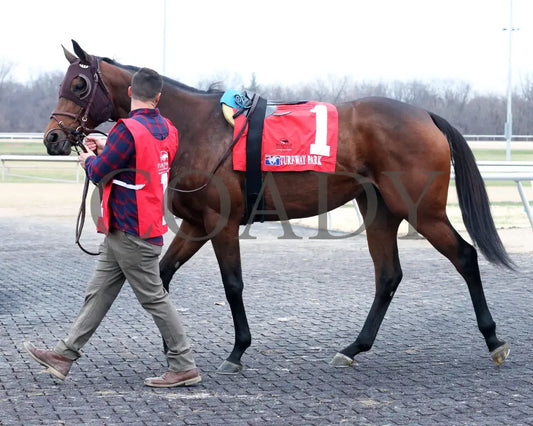 Kate’s Kingdom - The My Charmer Stakes 34Th Running Of 12-11-22 R07 Turfway Park Paddock 01