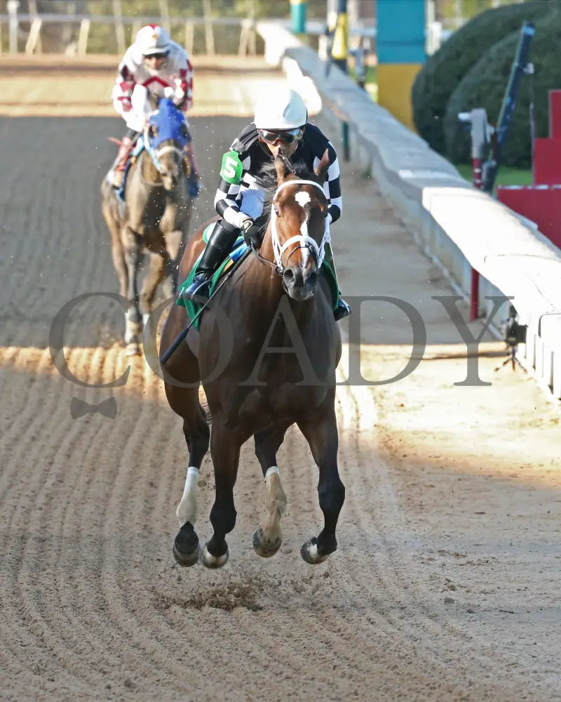Key Of Life - Purple Martin Stakes 21St Running 03-25-23 R10 Op Gallop Out 01 Oaklawn Park