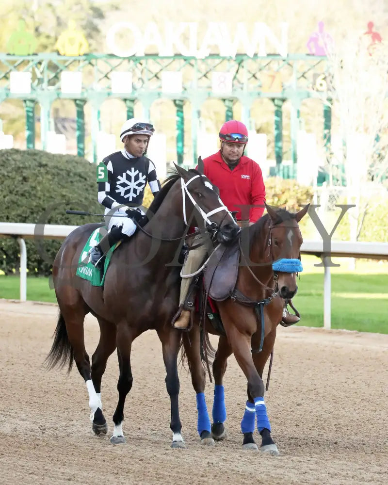Key Of Life - Purple Martin Stakes 21St Running 03-25-23 R10 Op Post Parade 01 Oaklawn Park