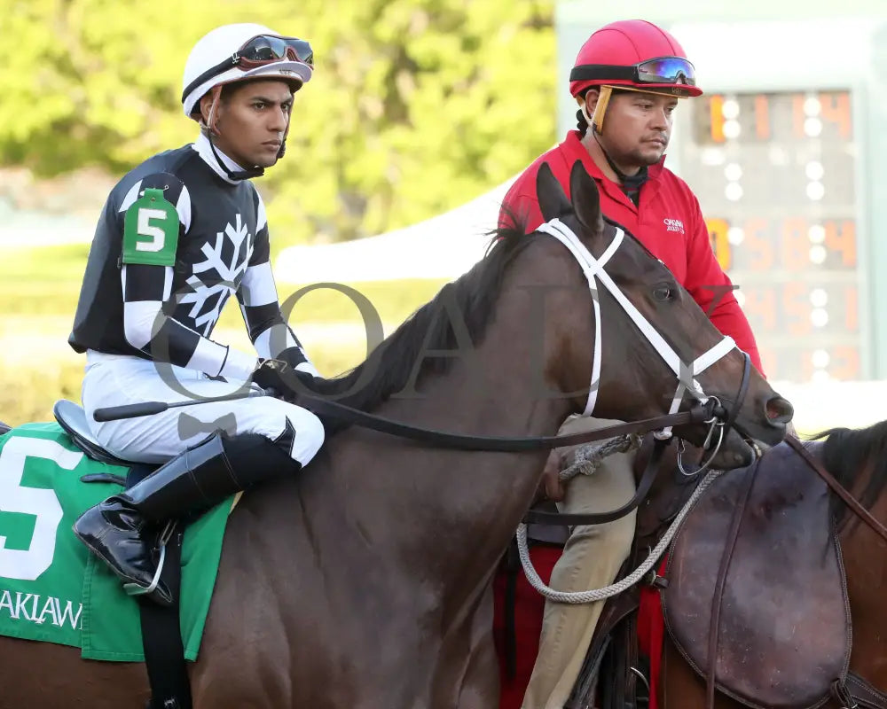 Key Of Life - Purple Martin Stakes 21St Running 03-25-23 R10 Op Post Parade 02 Oaklawn Park