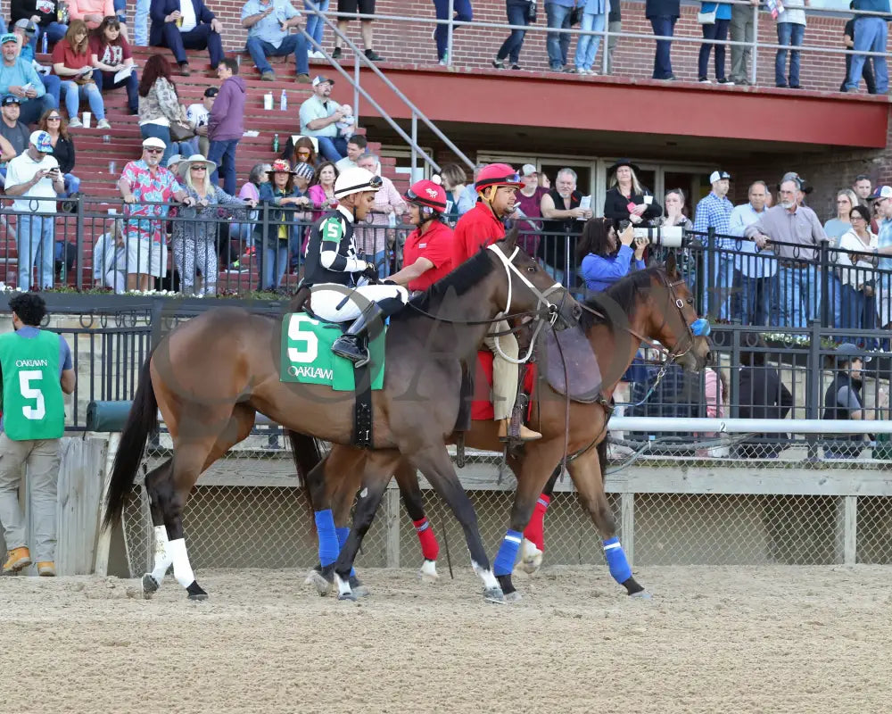 Key Of Life - Purple Martin Stakes 21St Running 03-25-23 R10 Op Post Parade 03 Oaklawn Park