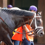 Kingsbarns - The Stephen Foster G1 06-29-24 R11 Cd Paddock 01 Churchill Downs