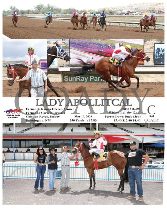Lady Apollitcal - 05-10-24 R 1 Srp Dh For 1St Sunray Park