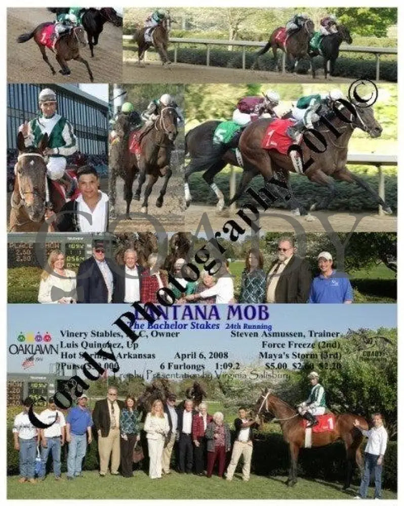 Lantana Mob - The Bachelor Stakes 24Th Running Oaklawn Park