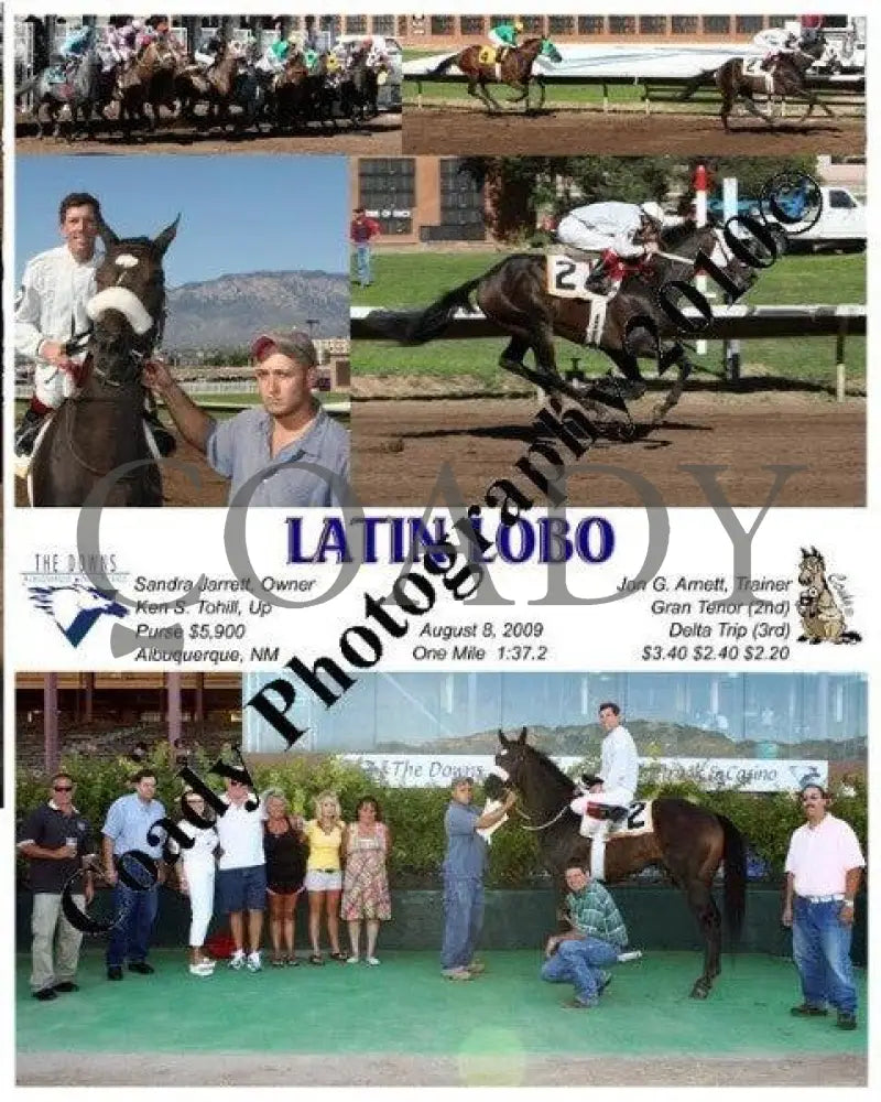 Latin Lobo - 8 2009 Downs At Albuquerque