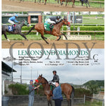 Lemonsanddiamonds - 05-06-24 R01 Mnr Mountaineer Park