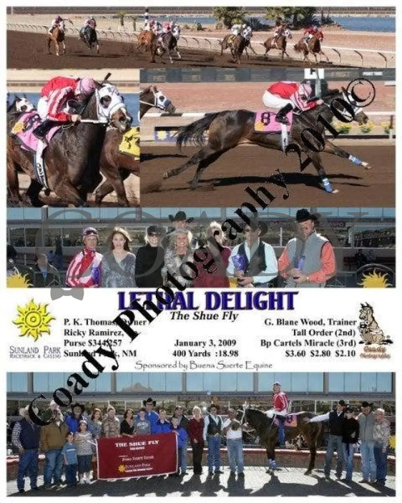 Lethal Delight - The Shue Fly 1 3 2009 Sunland Park