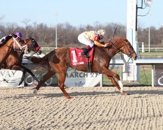 Like The King - The 50Th Running Of Jeff Ruby Steaks 03-27-21 R11 Tp -Finish 001 Turfway Park