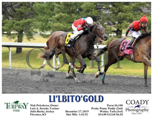 Li’lbito’gold - 122715 Race 01 Tp Turfway Park