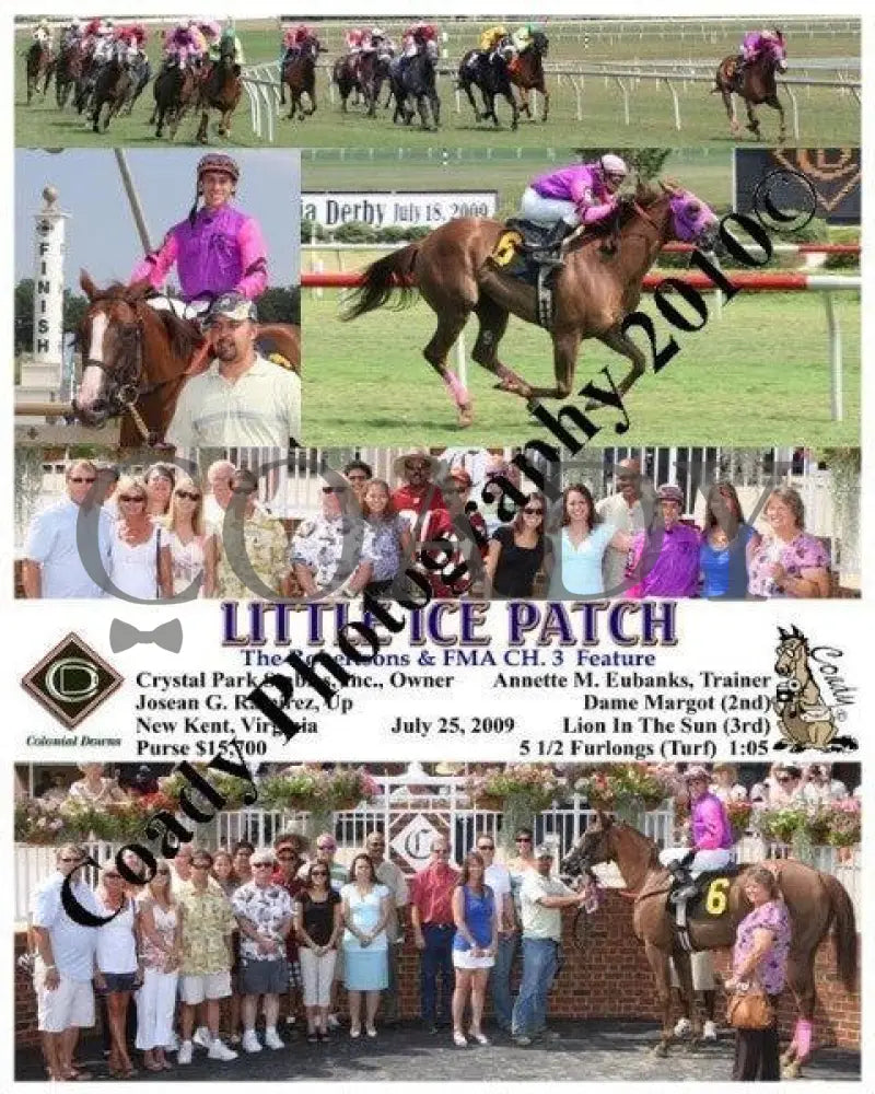 Little Ice Patch - The Robertsons & Fma Ch. 3 F Colonial Downs