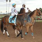 Love My Jimmy - Phoenix Gold Cup 03 - 14 - 24 R08 Turf Paradise Post Parade