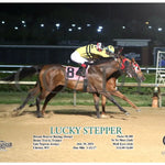 Lucky Stepper - 07-10-24 R08 Mnr Mountaineer Park