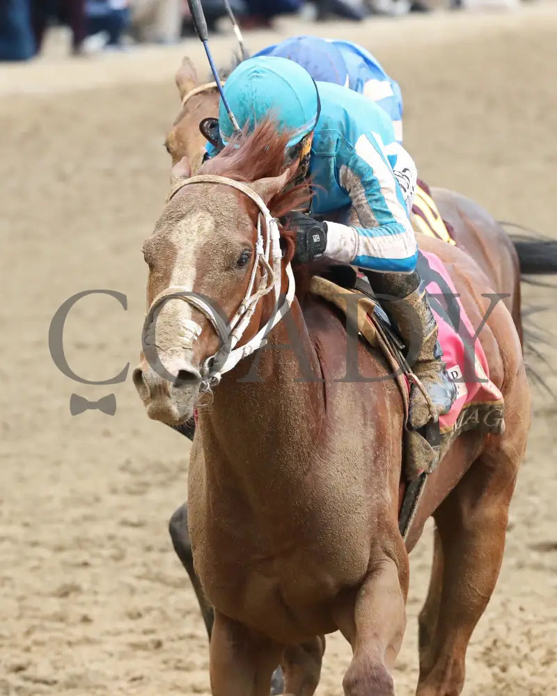 Mage - The Kentucky Derby 149Th Running 05-06-23 R12 Churchill Downs Inside Finish 01