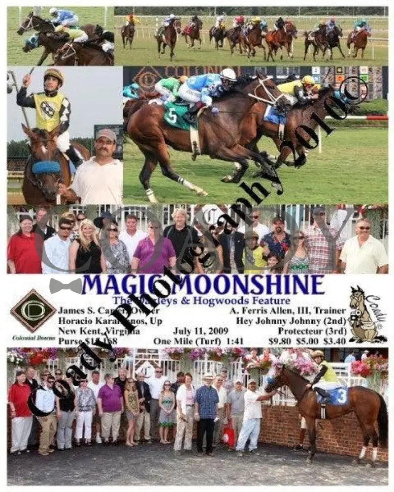 Magic Moonshine - The Dagleys & Hogwoods Feature Colonial Downs