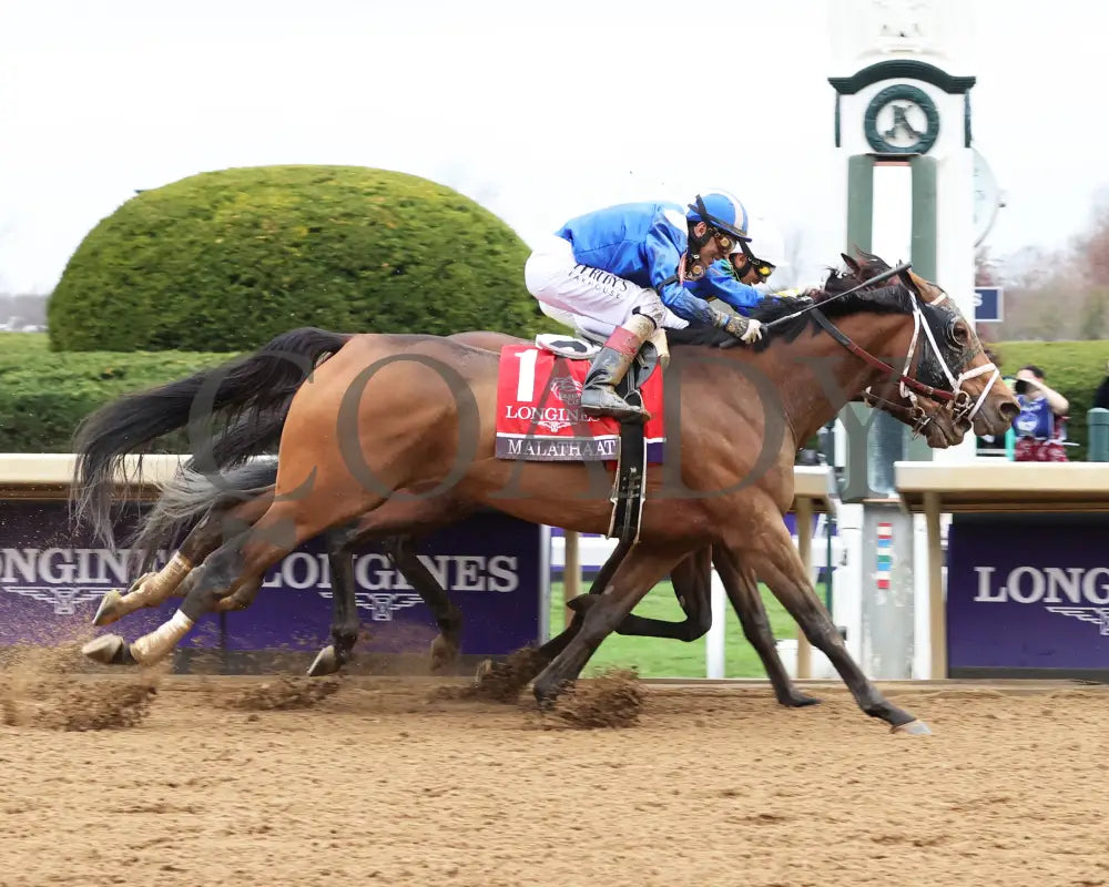 Malathaat - Longines Breeders’ Cup Distaff G1 39Th Running 11-05-22 R09 Kee Finish 01 Keeneland