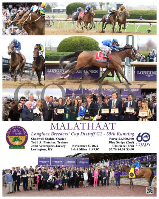 Malathaat - Longines Breeders’ Cup Distaff G1 39Th Running 11 - 05 - 22 R09 Kee Keeneland